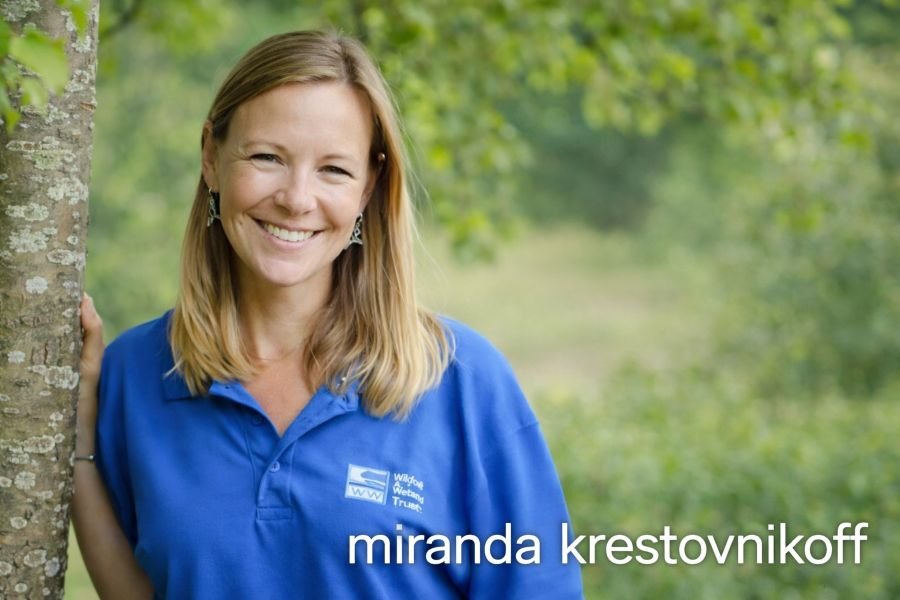 Miranda Krestovnikoff