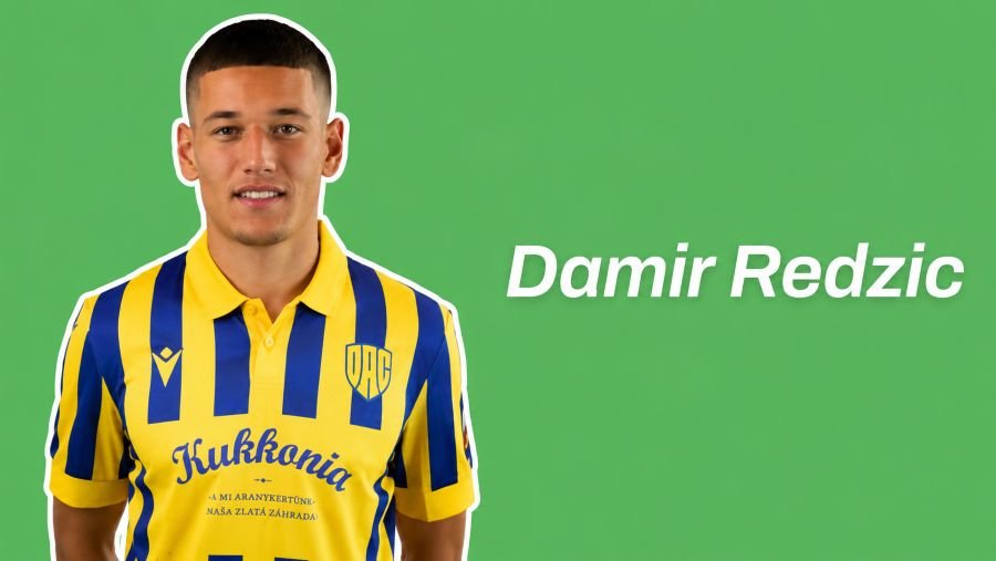 Damir Redzic