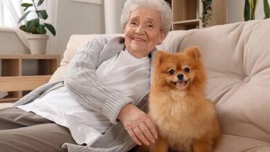 Are there Assisted Living Pet Policies: What Seniors Can Bring With Them
