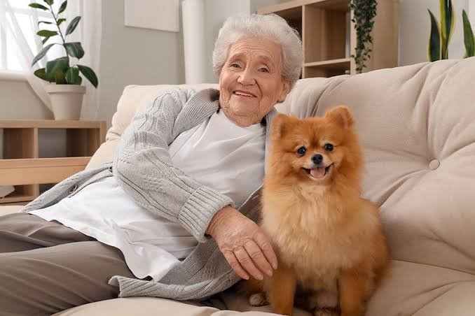 Are there Assisted Living Pet Policies: What Seniors Can Bring With Them
